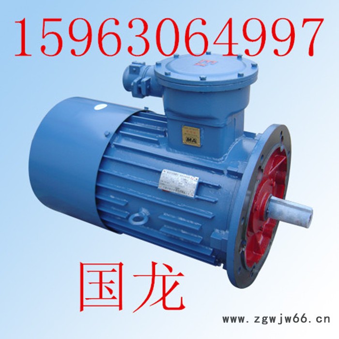生存法则 耙斗机隔爆电机 电动机 YBB30-4图2