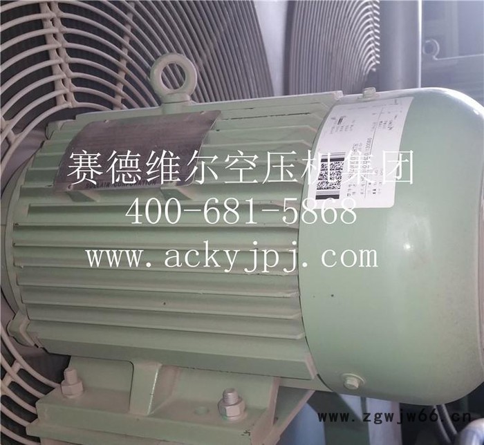 寿力主电机_SULLAIR空压机电动机图2