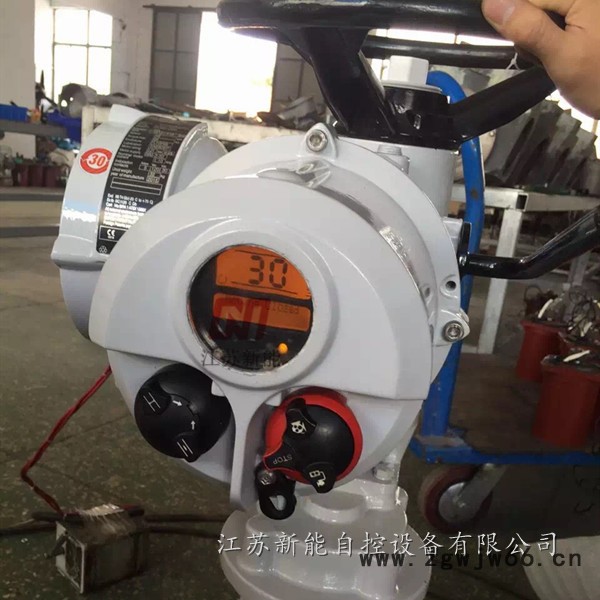 山西罗托克IQ/IQT/IQM电动机构原装产品图2