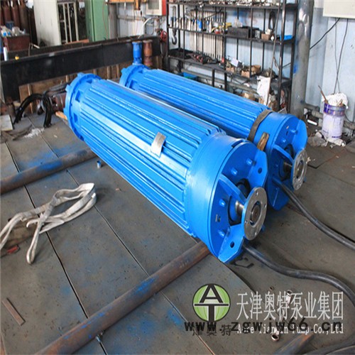 津奥特YQS1157系列_10KV潜水电机_540KW井用抽水三相异步电动机 津奥特潜水电机图4