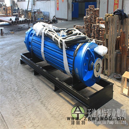 津奥特YQS1157系列_10KV潜水电机_540KW井用抽水三相异步电动机 津奥特潜水电机图3