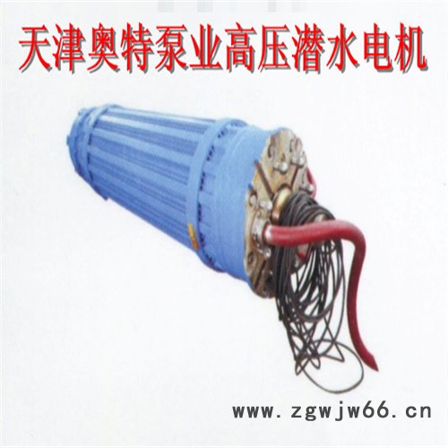 津奥特YQS1157系列_10KV潜水电机_540KW井用抽水三相异步电动机 津奥特潜水电机图2