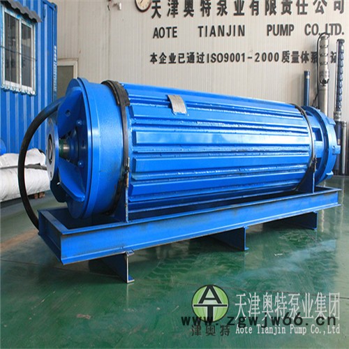津奥特YQS1157系列_10KV潜水电机_540KW井用抽水三相异步电动机 津奥特潜水电机