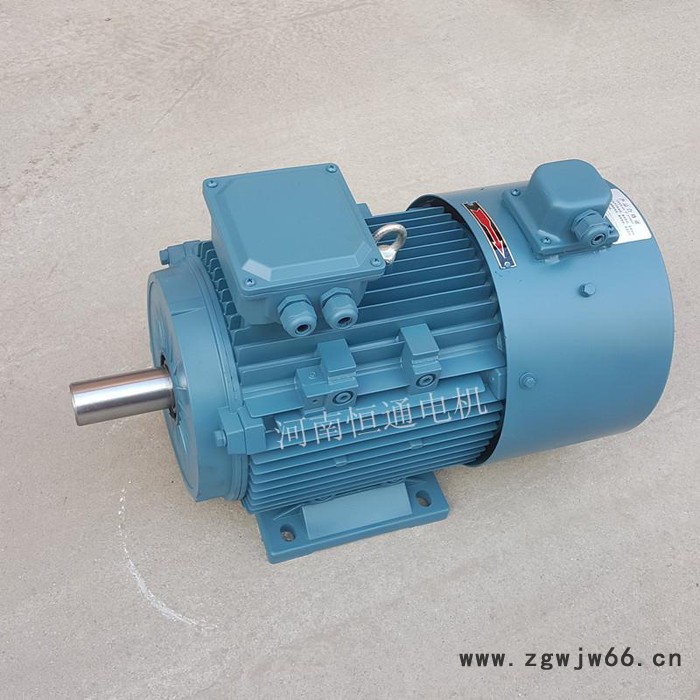 千业牌YP-50-0.55-6 YP-50-0.75-6变频电机 YP-50-1.1-6 电动机 YP-50-1.5-6图8