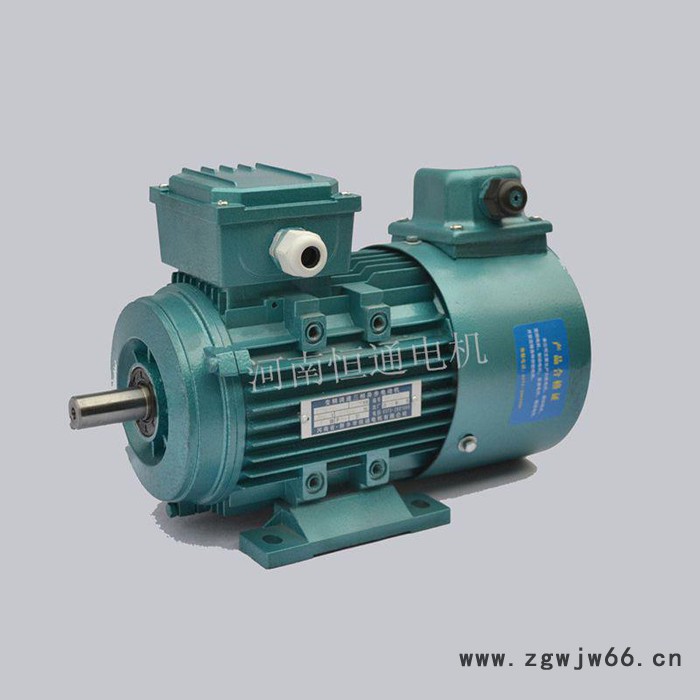 千业牌YP-50-0.55-6 YP-50-0.75-6变频电机 YP-50-1.1-6 电动机 YP-50-1.5-6图5