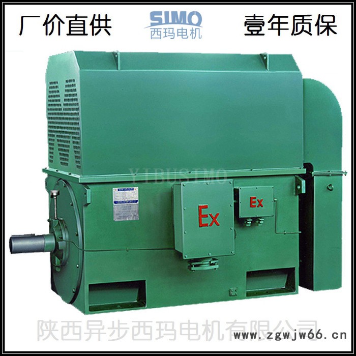 侯马西玛电机销售维修YKK4501-4/315KW风机水泵用10000V高压电动机图7