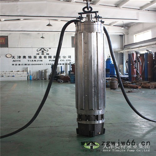 畜牧业饮用水供应用潜水电机_津奥特三相异步电动机 畜牧业供水潜水电机图2