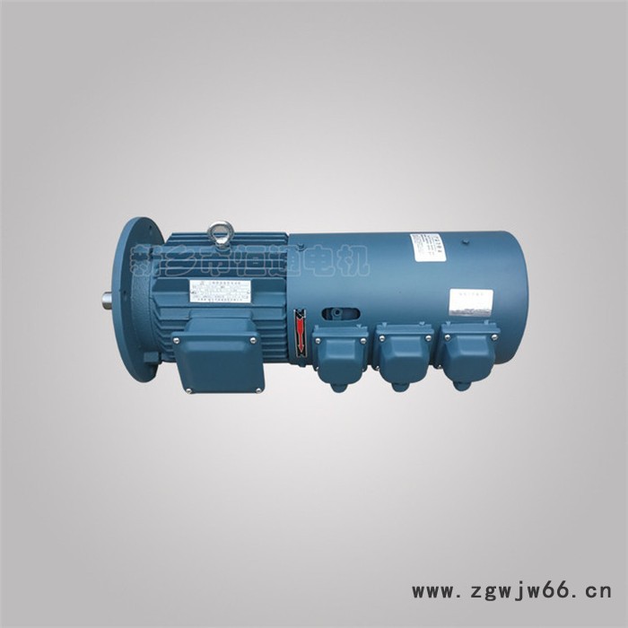 千业牌 YEJC132-20/6 电机 YLJ100-5/2力矩电动机2级 YLJ112-6/2品优价廉图8