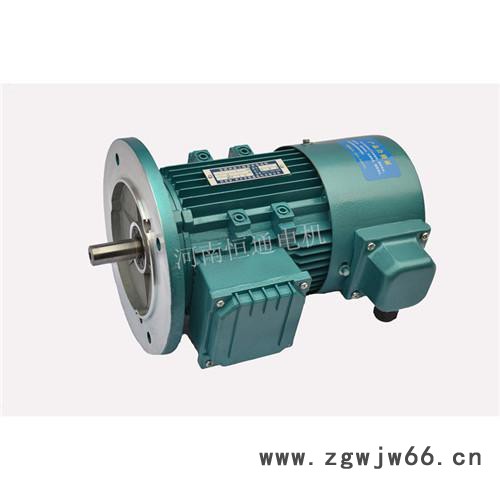 新乡恒通 三相力矩电动机 广东力矩电机 高防护等级IP54铝壳力矩马达 质量好图2