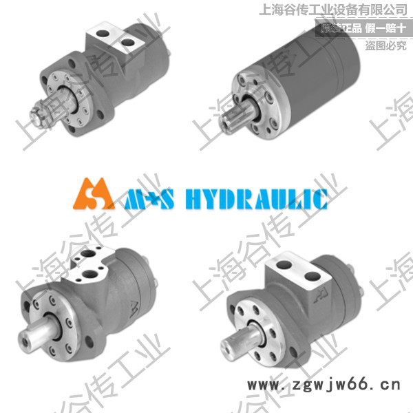 保加利亚M+S HYDRAULIC VMF 500 进口重型电动机图5