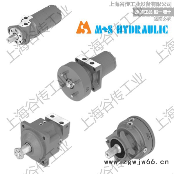 保加利亚M+S HYDRAULIC VMF 500 进口重型电动机图6