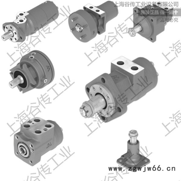 保加利亚M+S HYDRAULIC VMF 500 进口重型电动机图2