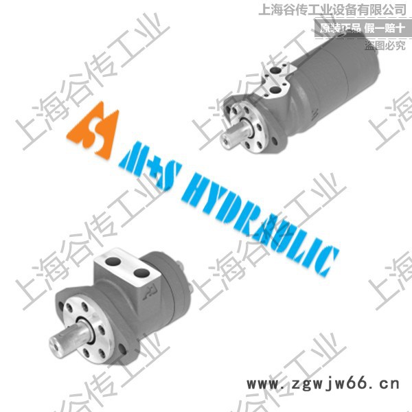 保加利亚M+S HYDRAULIC VMF 500 进口重型电动机图7