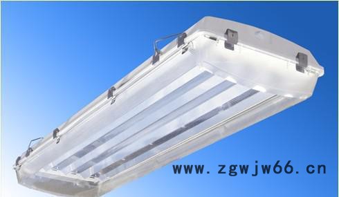 飞利浦工矿灯 三防高天棚灯 TPS750 54W 荧光灯管工图3