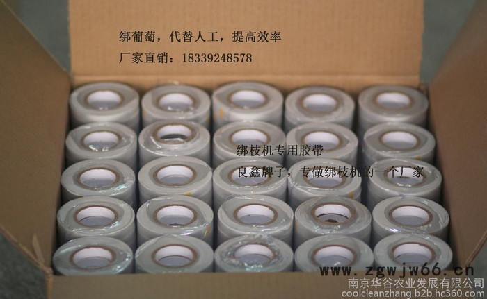 中国 卖 农业园林工具-葡萄绑蔓枪黄瓜绑蔓器 价格厂家报价江苏绑秧器代理图3