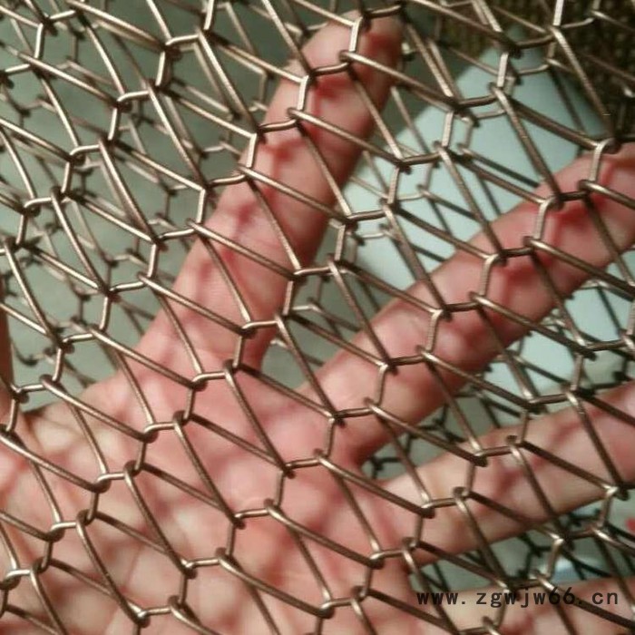 盘聚  批发 不锈钢螺旋网  金属螺旋屏风装饰网 金属网帘图5