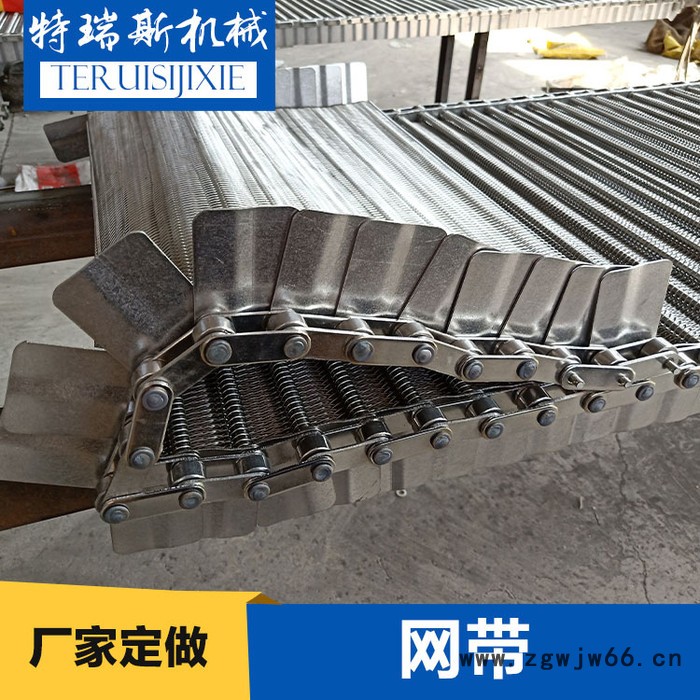 网带金属网带隧道炉输送网带特瑞斯厂家定做图3