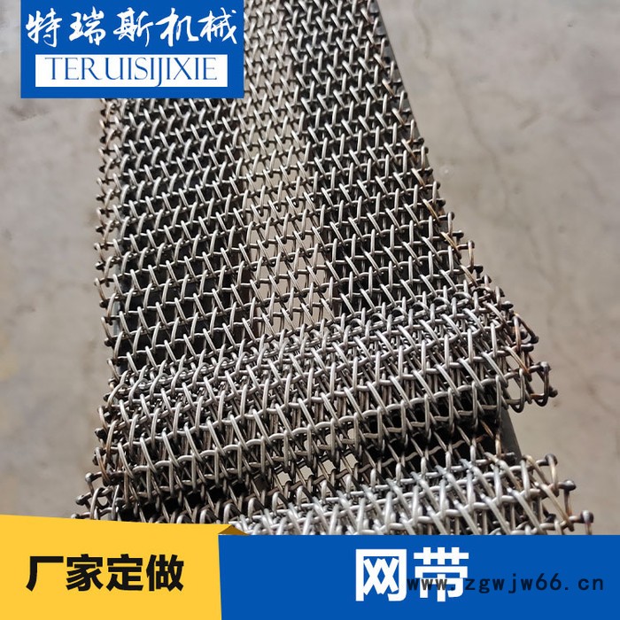 网带金属网带隧道炉输送网带特瑞斯厂家定做图5