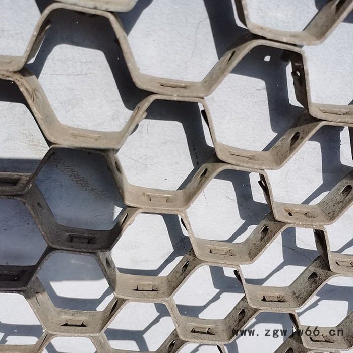 标誉 供应龟甲网 管道防护龟甲网 金属网 发电厂龟甲网图4
