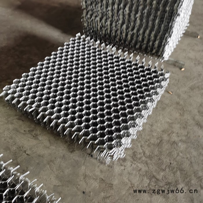 标誉 供应龟甲网 管道防护龟甲网 金属网 发电厂龟甲网图2