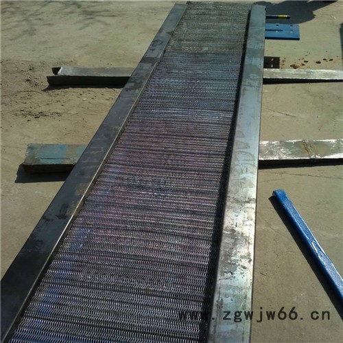 金属网带输送机厂家 宜兴水平直线输送图4