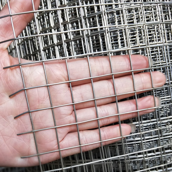 厂家批发 304 201 316材质不锈钢压焊金属网 不锈钢方孔网 不锈钢电焊卷网规格齐全 304不锈钢压焊金属网