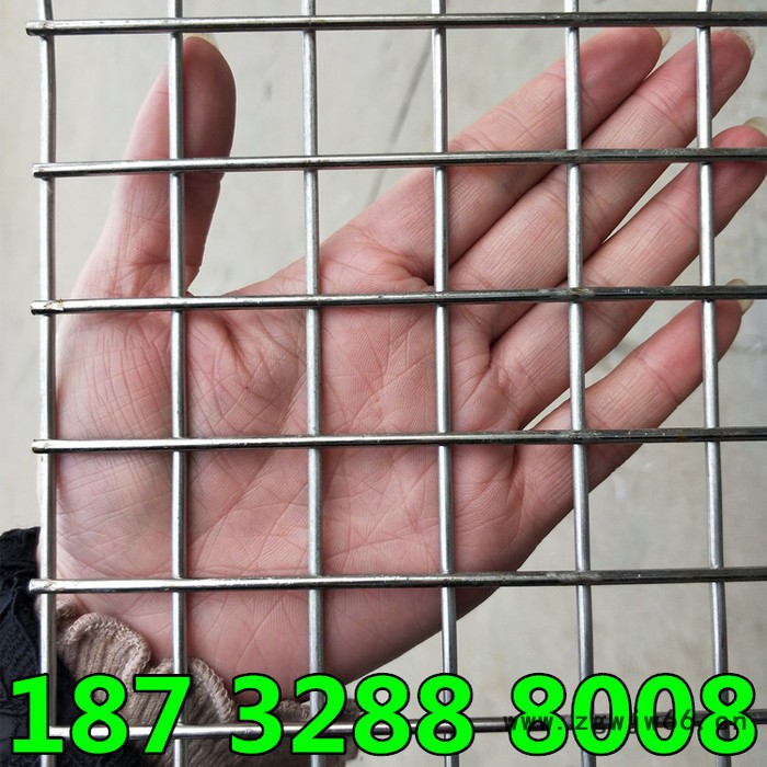 厂家批发 304 201 316材质不锈钢压焊金属网 不锈钢方孔网 不锈钢电焊卷网规格齐全 304不锈钢压焊金属网图6