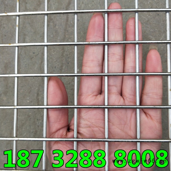 厂家批发 304 201 316材质不锈钢压焊金属网 不锈钢方孔网 不锈钢电焊卷网规格齐全 304不锈钢压焊金属网图5