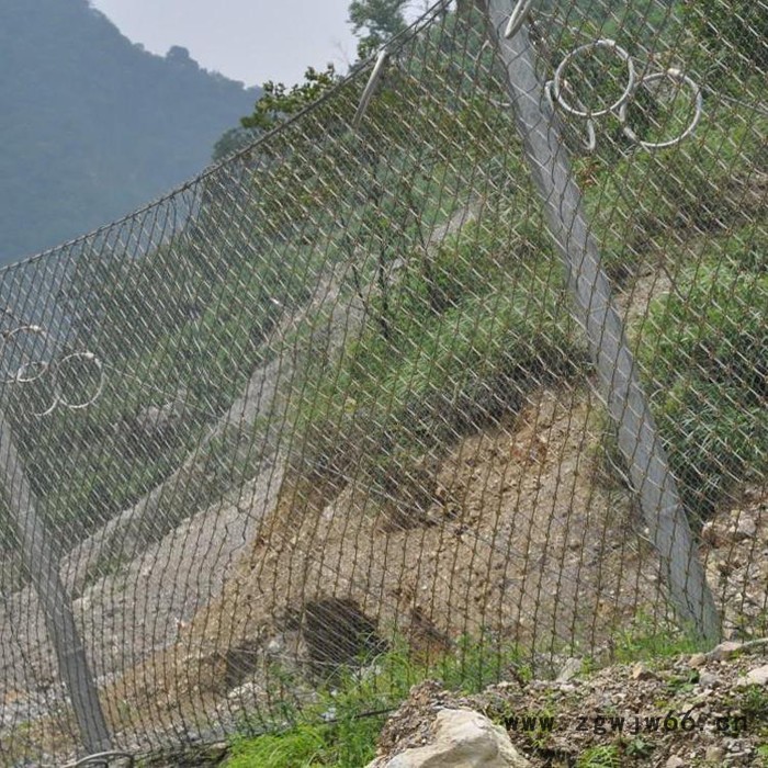 厂家批发主动边坡防护网 安全防护隔离网 金属网 贵州公路防护网  隧道防护网图6