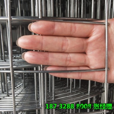 奔宇 厂家生产供应 不锈钢金属网 焊接方孔网 不上绣丝网 材质规格全 可定制