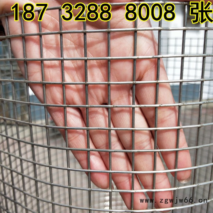 奔宇 供应 焊接金属防护网 304不锈钢圆丝焊接网  不锈钢焊接方眼网 不锈钢焊接金属网片