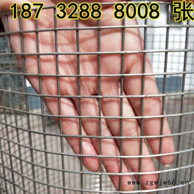 奔宇 供应 焊接金属防护网 304不锈钢圆丝焊接网  不锈钢焊接方眼网 不锈钢焊接金属网片