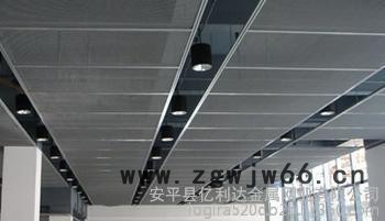 铁领54金属板网钢板网/亿利达钢板网/亿利达公司/安平钢板网厂-河北安平亿利达金属网业图4