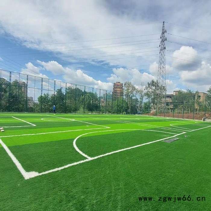 四川永旺金属网厂家 球场勾花护栏网生产安装 护栏网厂家图4