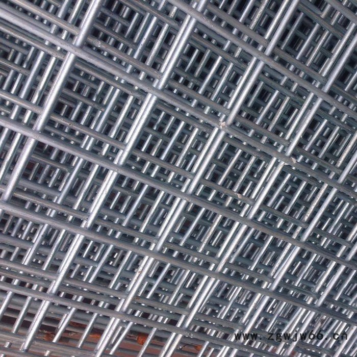 【振声】多种规格 网片 金属网片 建筑网片 镀锌网片 浸塑网片 焊接网片图4