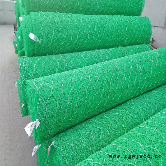 绿化加筋麦克垫  三维土工植生垫  聚合物加筋网 高尔凡加筋麦克垫 机编加筋六边形双绞合金属网图3