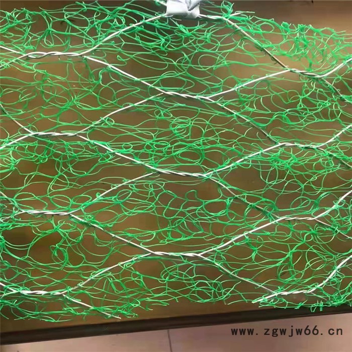 绿化加筋麦克垫  三维土工植生垫  聚合物加筋网 高尔凡加筋麦克垫 机编加筋六边形双绞合金属网图6