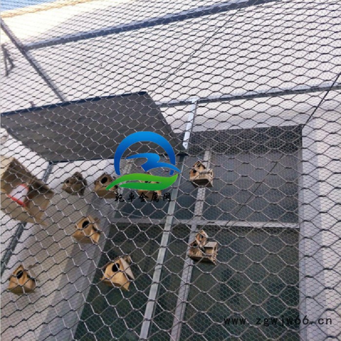 乾卓金属网 3.0mm包胶不锈钢丝绳网 304彩色天井防护网 游乐设备游乐设施网子图6