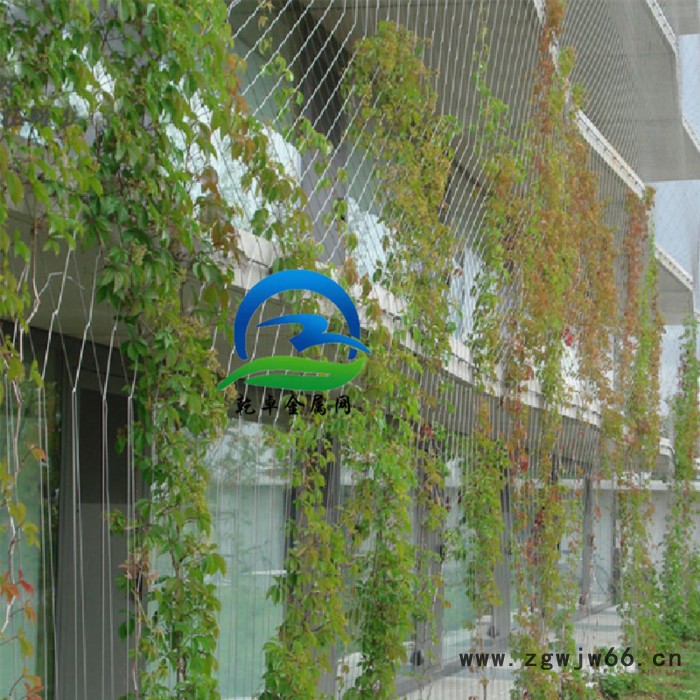 乾卓金属网 3.0mm包胶不锈钢丝绳网 304彩色天井防护网 游乐设备游乐设施网子图4