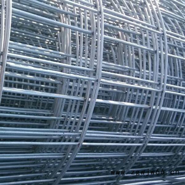 圈玉米铁丝网  钢丝电焊网  金属网  不锈钢丝网  圈玉米网图3