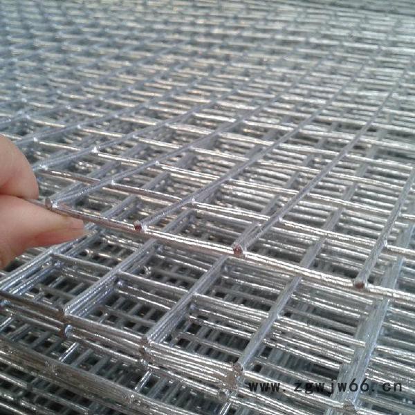 圈玉米铁丝网  钢丝电焊网  金属网  不锈钢丝网  圈玉米网图2