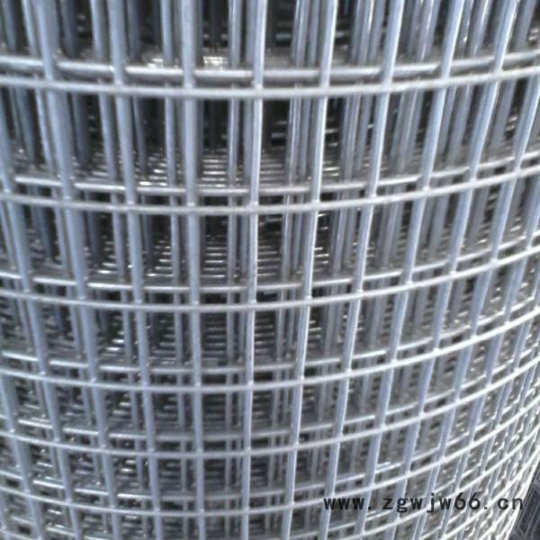 圈玉米铁丝网  钢丝电焊网  金属网  不锈钢丝网  圈玉米网图4