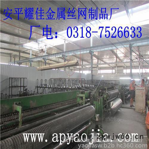 供应耀佳电焊网   电焊网片     电焊网批发    金属网铁丝网 1/2 电焊网 镀锌电焊网图4