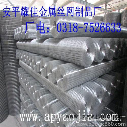 供应耀佳电焊网   电焊网片     电焊网批发    金属网铁丝网 1/2 电焊网 镀锌电焊网图2
