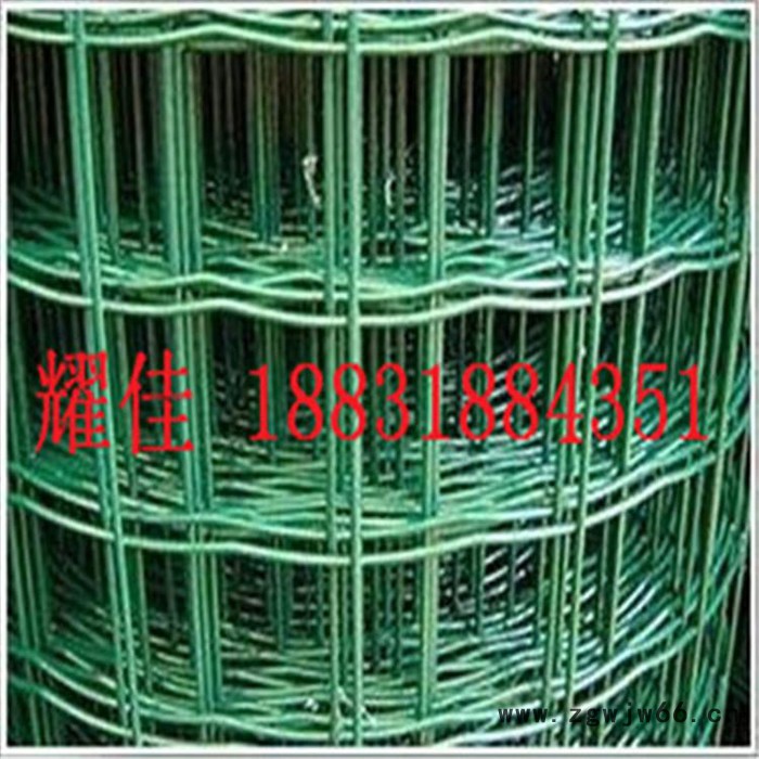 涂塑电焊网 铁丝网 围栏网 电焊网片 浸塑电焊网 养殖网 荷兰网 电焊网 电焊网厂 铁丝网 金属网 包塑电焊网图8