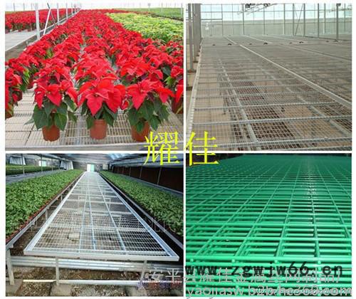 涂塑电焊网 铁丝网 围栏网 电焊网片 浸塑电焊网 养殖网 荷兰网 电焊网 电焊网厂 铁丝网 金属网 包塑电焊网图5