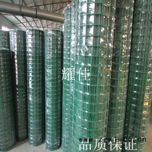 涂塑电焊网 铁丝网 围栏网 电焊网片 浸塑电焊网 养殖网 荷兰网 电焊网 电焊网厂 铁丝网 金属网 包塑电焊网图3