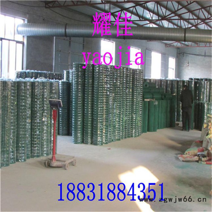 涂塑电焊网 铁丝网 围栏网 电焊网片 浸塑电焊网 养殖网 荷兰网 电焊网 电焊网厂 铁丝网 金属网 包塑电焊网图2