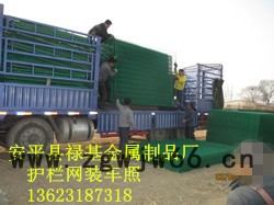 供应禄基厂生产的2*4米建筑网片  护栏 护栏网片 金属网栏 金属网图3