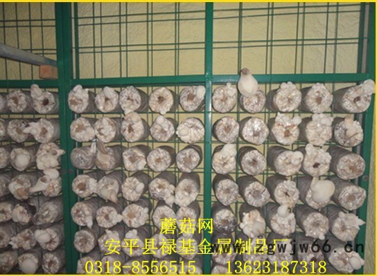 供应禄基厂生产的2*4米建筑网片  护栏 护栏网片 金属网栏 金属网图8